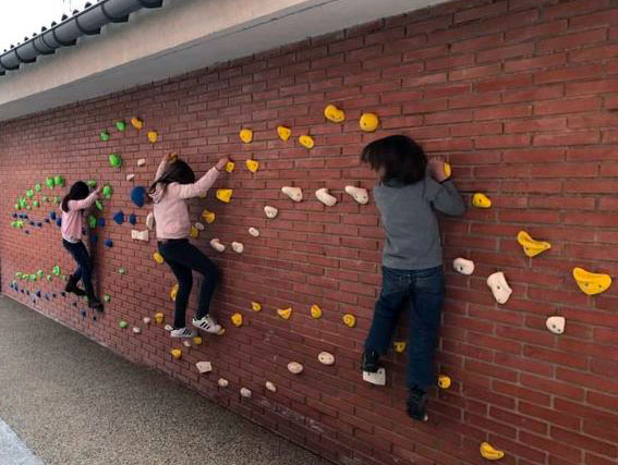 Gecko Walls